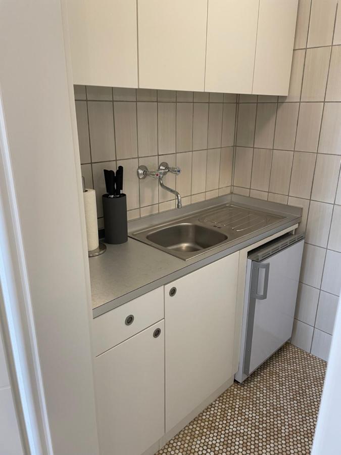 קרלסרוהה Sophie Superior Apartment מראה חיצוני תמונה