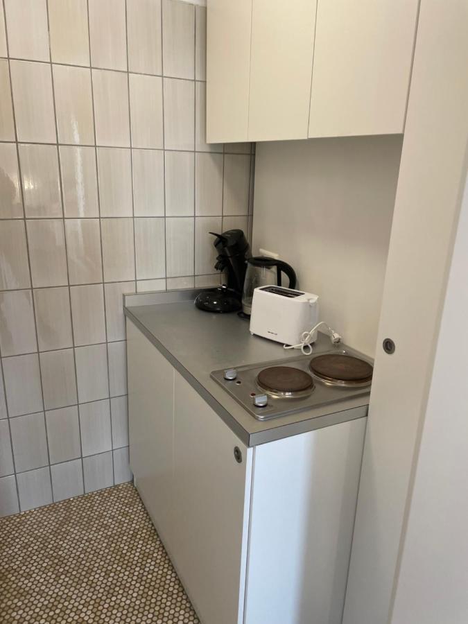 קרלסרוהה Sophie Superior Apartment מראה חיצוני תמונה